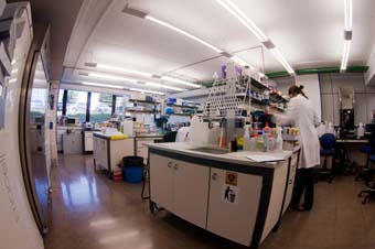 Imagen de Biopharma.